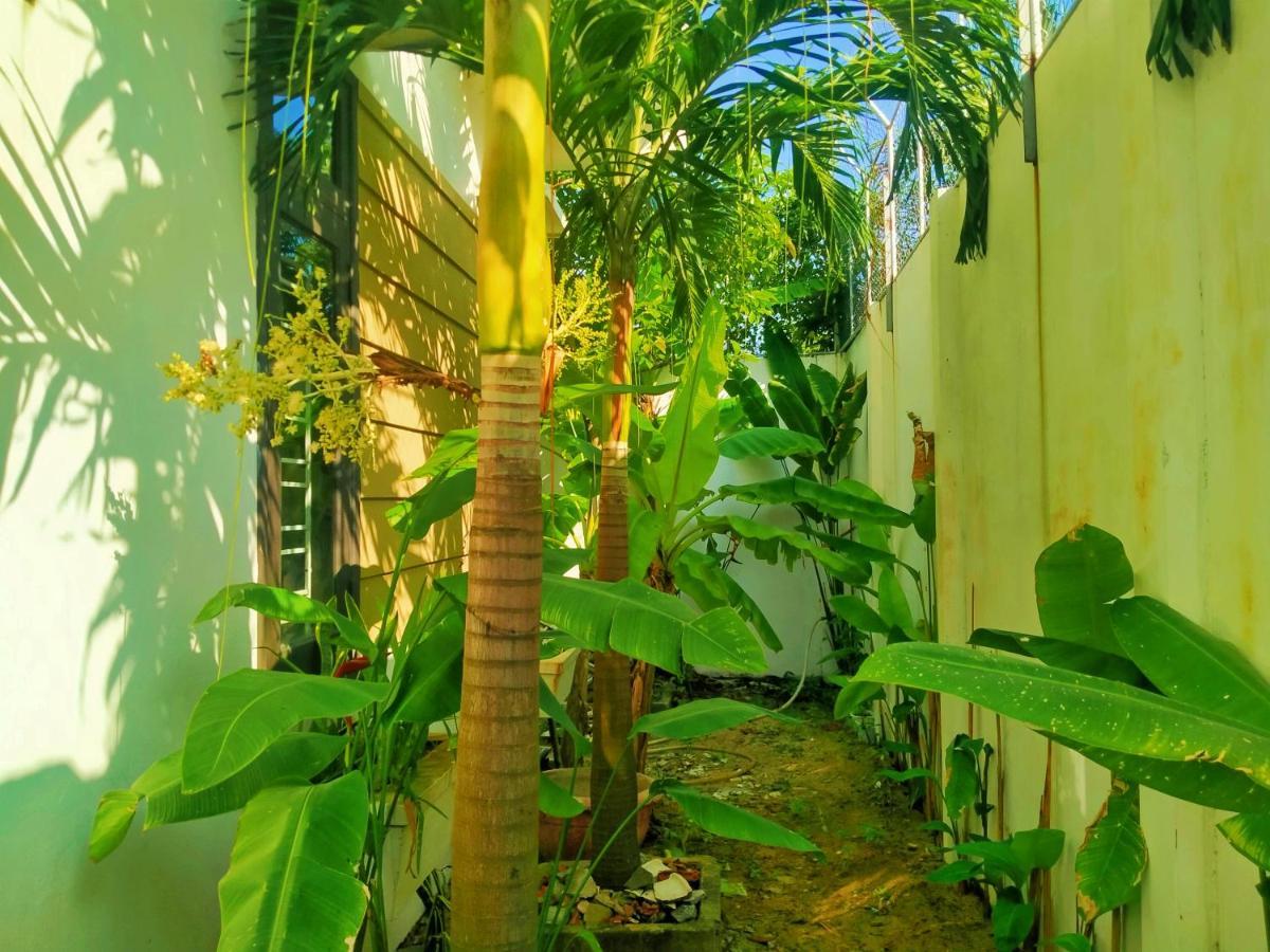Almond Villa 호이안 외부 사진